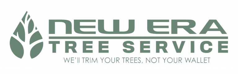 Tree Service, Tree Care, Tree Trimming, Tree Removal, Stump Grinding, Hedge Trimming, Free Estimate