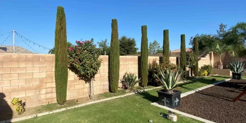 Tree Service, Tree Care, Tree Trimming, Tree Removal, Stump Grinding, Hedge Trimming, Free Estimate
