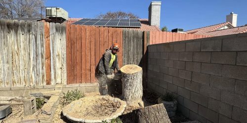 Tree Service, Tree Care, Tree Trimming, Tree Removal, Stump Grinding, Hedge Trimming, Free Estimate